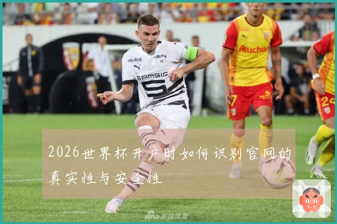 2026世界杯开户时如何识别官网的真实性与安全性
