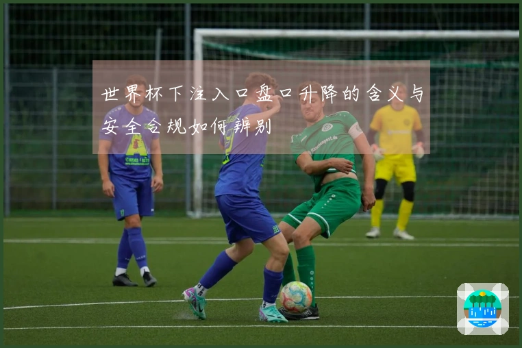 世界杯下注入口盘口升降的含义与安全合规如何辨别