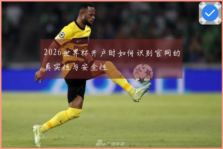 2026世界杯开户时如何识别官网的真实性与安全性