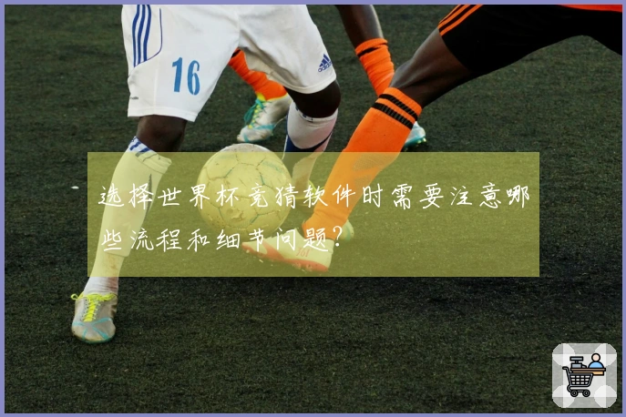 选择世界杯竞猜软件时需要注意哪些流程和细节问题？