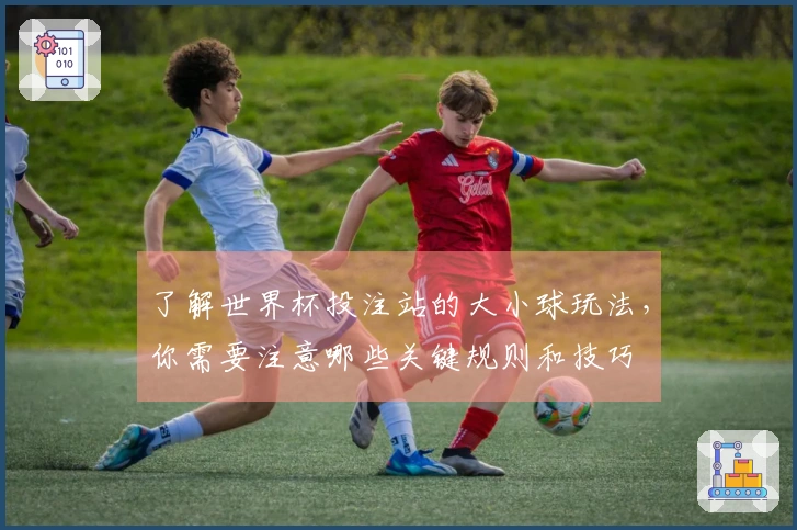 了解世界杯投注站的大小球玩法，你需要注意哪些关键规则和技巧